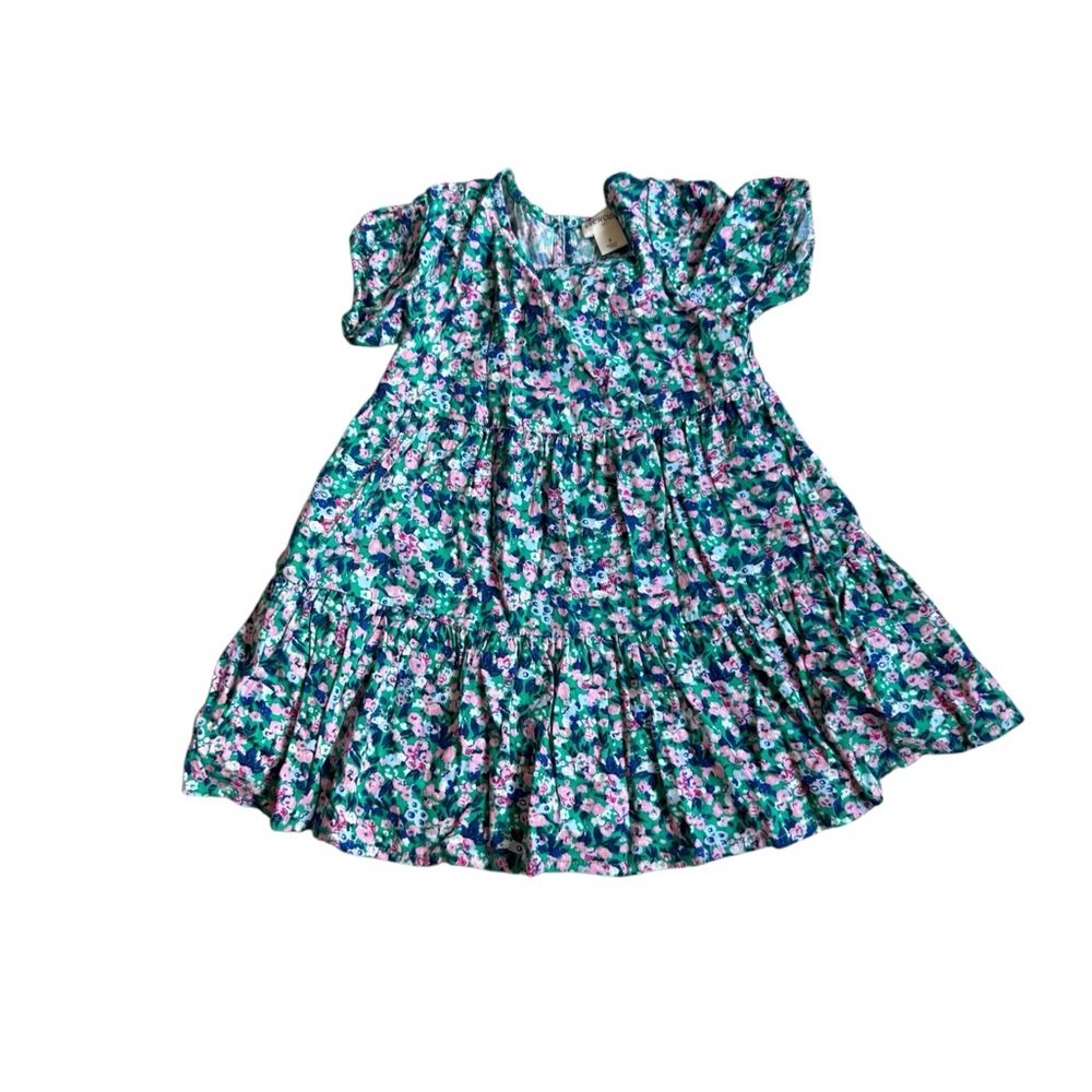 Crewcuts Vibrant Floral Dress in Green and Pink